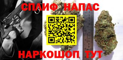 сатива Малоярославец
