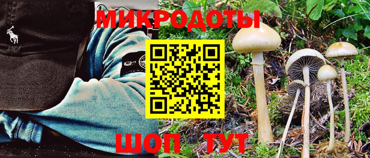 Тара  Псилоцибиновые грибы Magic Shrooms  Вход с VPN 